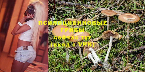 кокс Верея