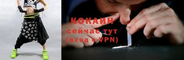 круглые Снежногорск