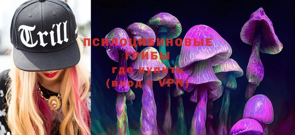 хмурый Слюдянка